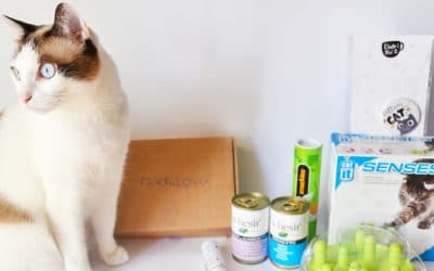 La meowlovebox de julio nos enamora con sus productos para gatos