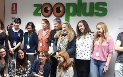 Acudimos al zooplus gatuno por tercer año consecutivo