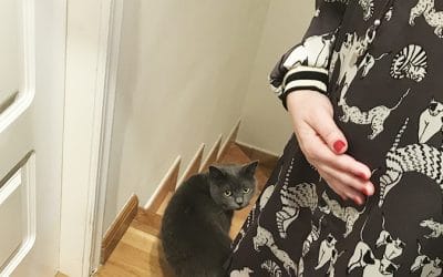 Gatos y embarazo: ¡que no te engañen! Tus peludines pueden seguir en tu vida