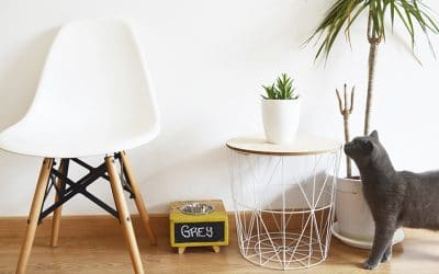 Madera aplicada al mundo gatuno con FeelWood Bcn