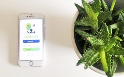 MaskoWe, la startup que ha empezado a digitalizar el mundo de las mascotas