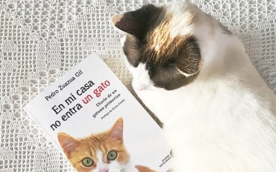 En mi casa no entra un gato, una novela escrita por un papá gatuno primerizo