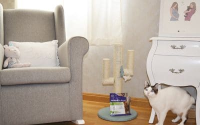 SOS, Mi gato araña el sillón. Vamos a probar Feliscratch by Feliway